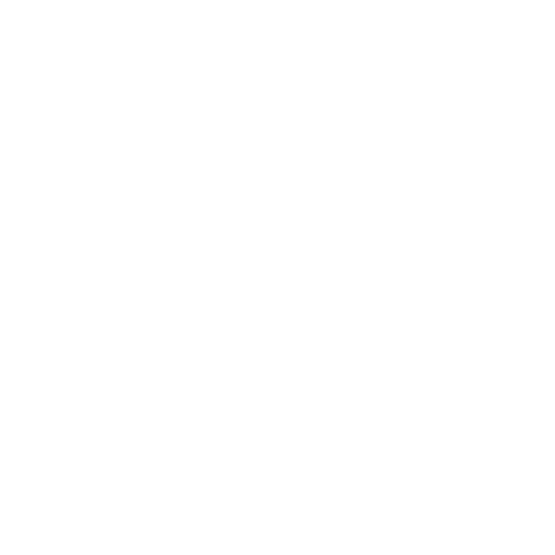 Rise Tech IA